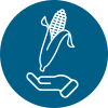 Organic corn with hand icon