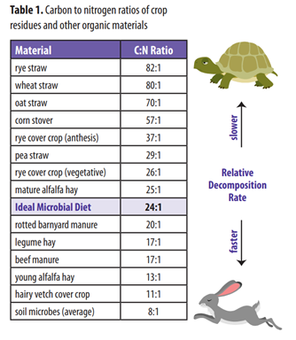 C N ratio table - in page