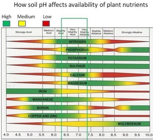 soil ph - in page