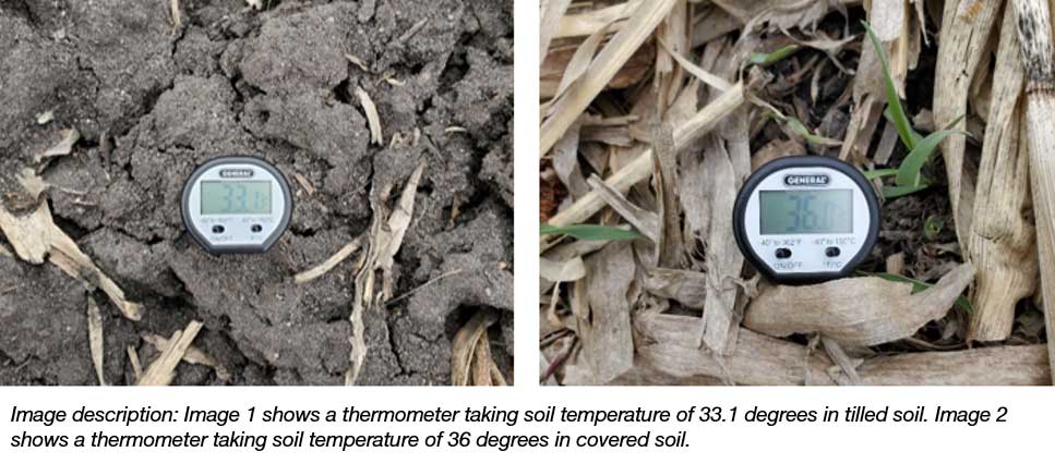 soil thermometer 2 - in page