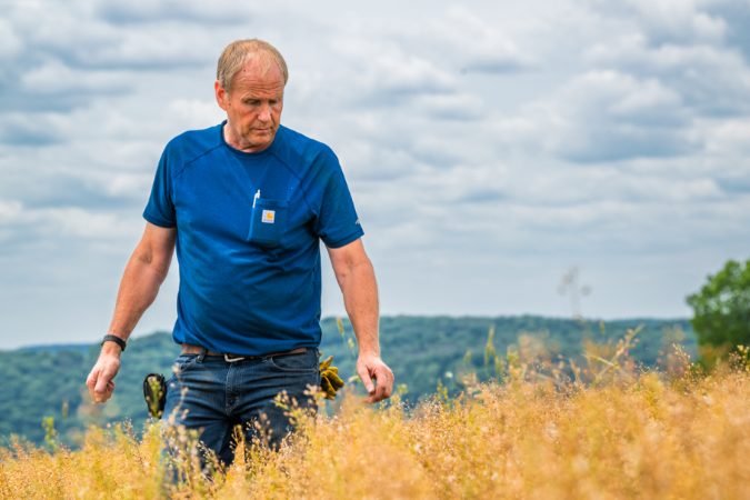 Camelina promo - farmer