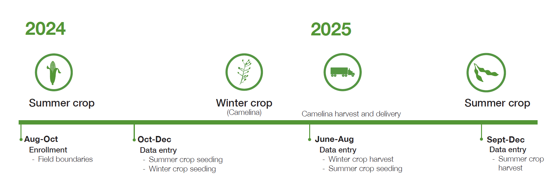 A visual of the timeline depicting how Winter Camelina fits into crop rotation