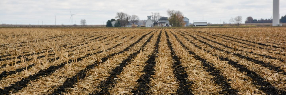 indiana image indiana image